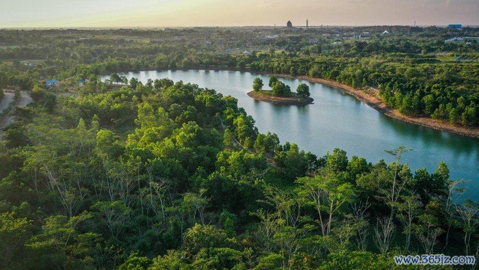 Foto udara suasana Taman Hutan Hujan Tropis Indonesia (TH2TI) di Perkantoran Pemerintah Provinsi Kalimantan Selatan, Banjarbaru, Kalimantan Selatan, Minggu (28/07/2024). TH2TI yang memiliki koleksi 50 ribu pohon dengan luas lahan tanam mencapai 90 hektare tersebut merupakan upaya pemerintah setempat untuk mempertahankan kebaradaan tanaman hutan endemik dan menjadi percontohan pembangunan hutan kota berkelanjutan (forest city) di Ibu Kota Nusantara (IKN). ANTARA FOTO/Bayu Pratama S/Spt.